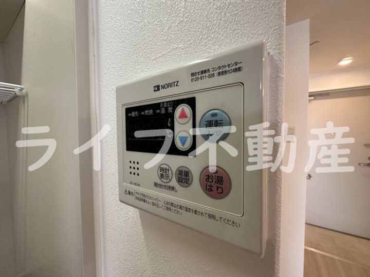 ネモフィラのその他画像