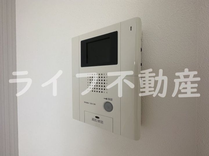 ネモフィラのその他画像