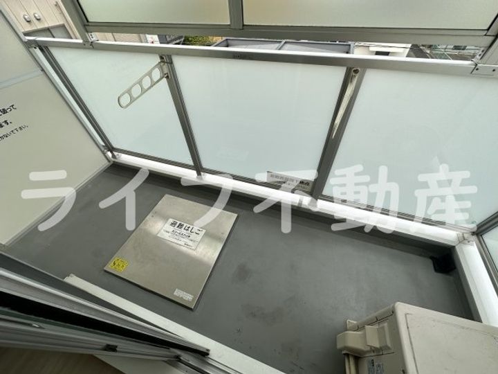 ネモフィラのその他画像