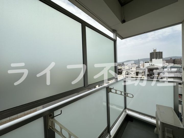 ネモフィラのその他画像