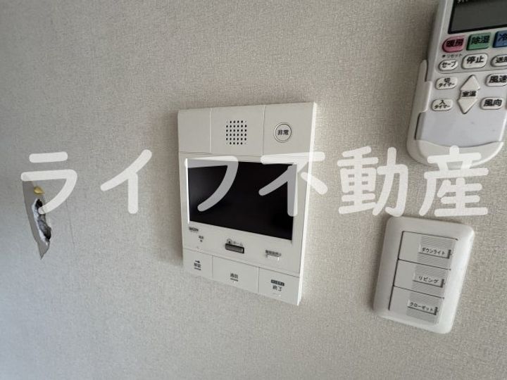 PHOENIX CLOVE TOMOIのその他画像