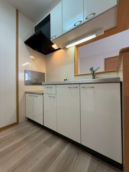 エミ—ユ1のその他画像