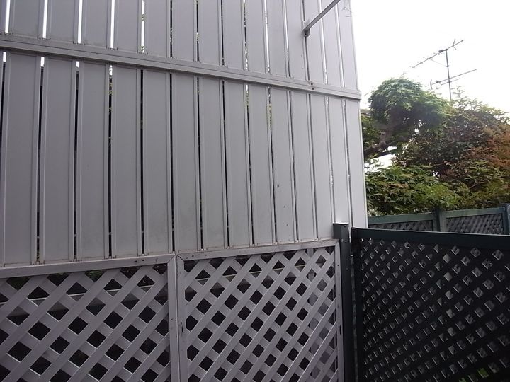 セレブ岡本のその他画像