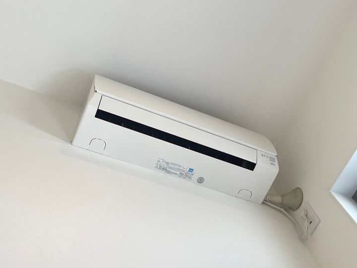 Blossom Imazuのその他画像
