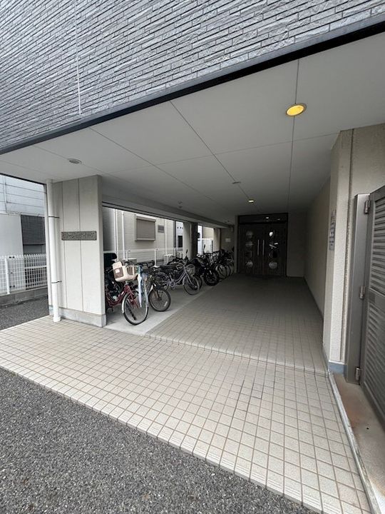 セリージャ デ トーアのその他画像