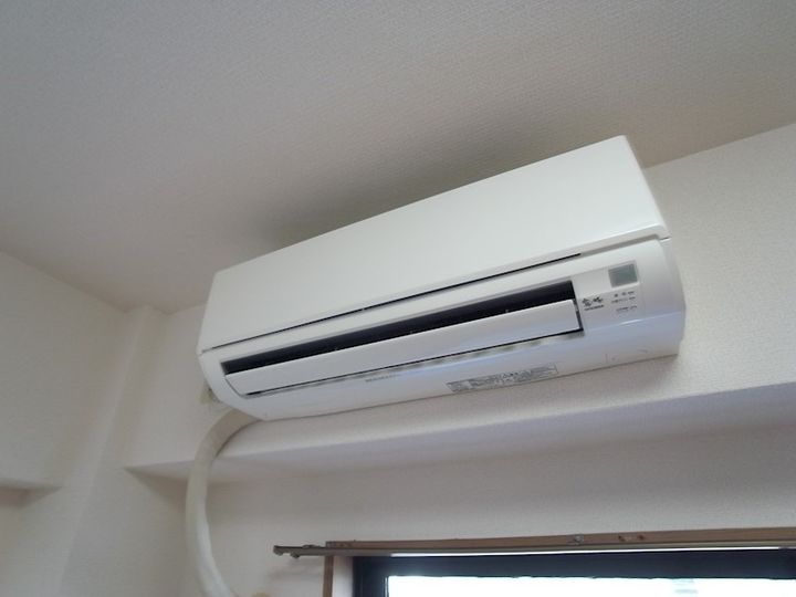 六甲ひのきのその他画像