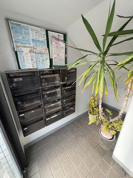 カサ・デェ・エレガンシアのその他画像