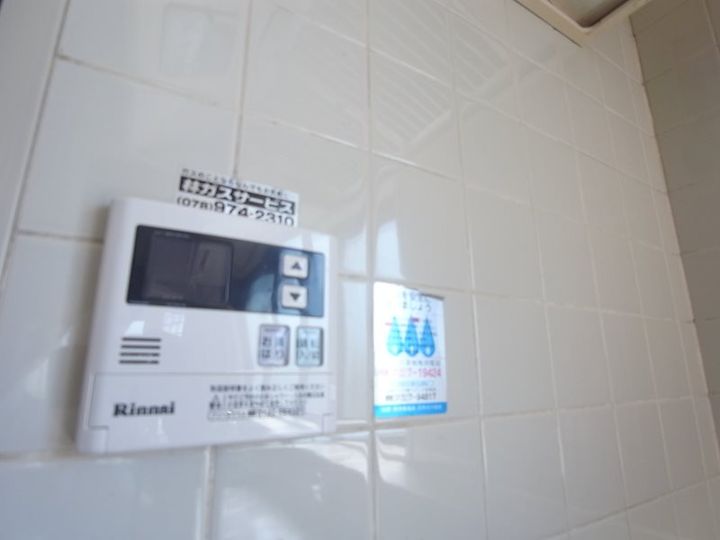 サイプレスのその他画像