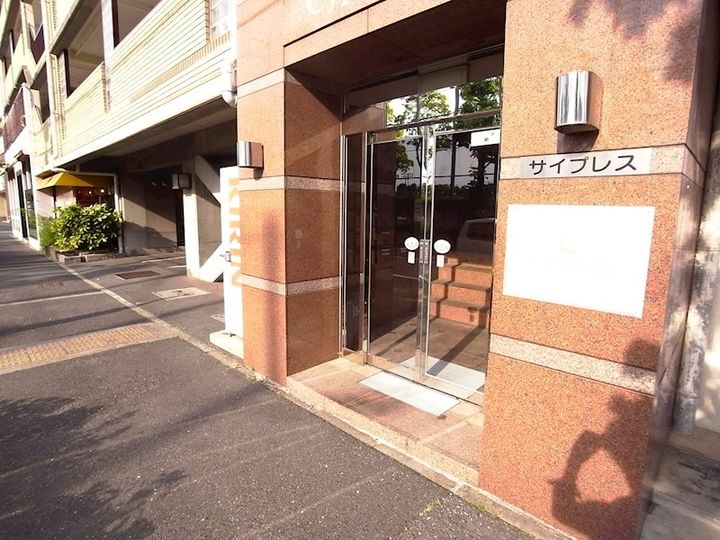 サイプレスのその他画像