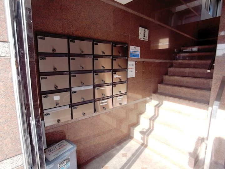 サイプレスのその他画像