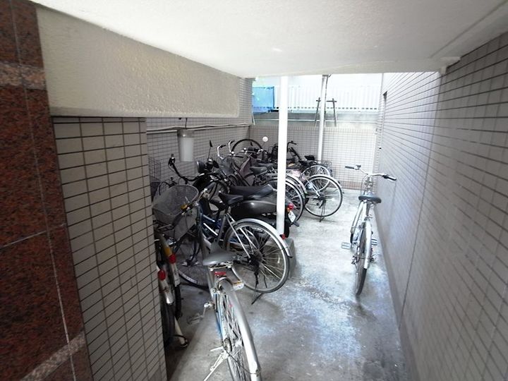 サイプレスのその他画像