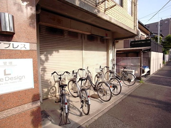 サイプレスのその他画像