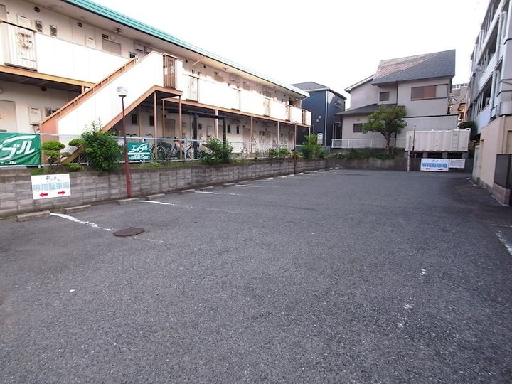 サイプレスのその他画像