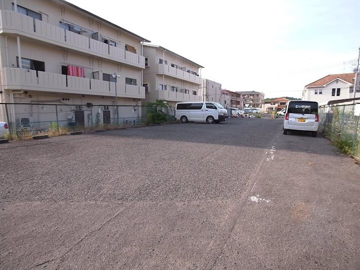 サイプレスのその他画像