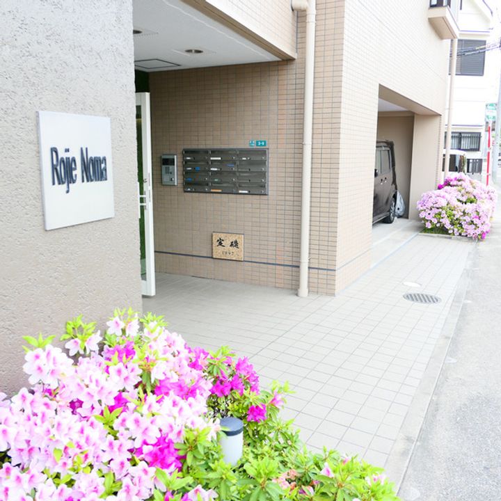 RojieNomaのその他画像