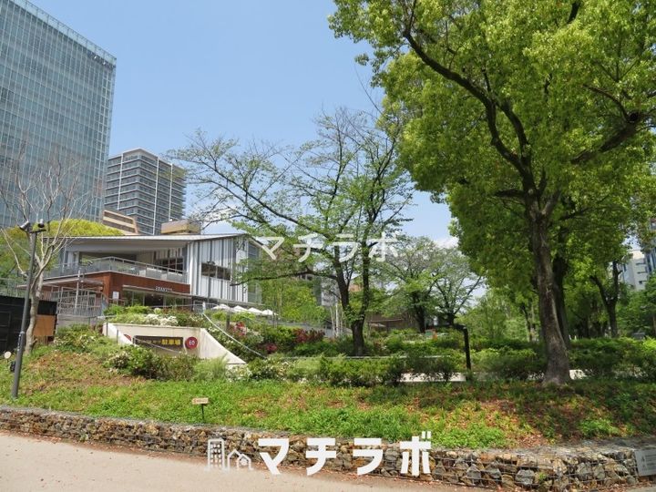 ネクサスサクラ605の周辺
