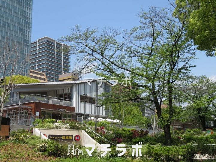 愛知県名古屋市東区泉1丁目(マンション)の賃貸物件802の周辺