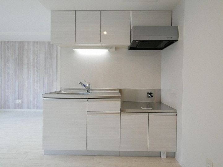 北海道札幌市西区宮の沢二条2丁目(マンション)の賃貸物件207のキッチン