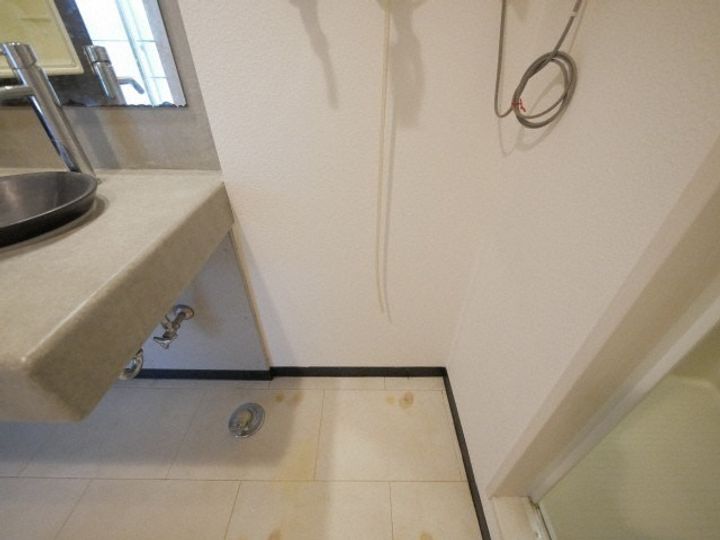 北海道札幌市西区二十四軒四条4丁目(マンション)の賃貸物件306のその他画像