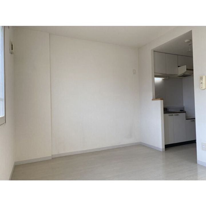 北海道札幌市西区琴似一条7丁目(マンション)の賃貸物件401の内装