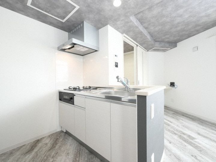 北海道札幌市厚別区厚別東三条3丁目(マンション)の賃貸物件302のキッチン