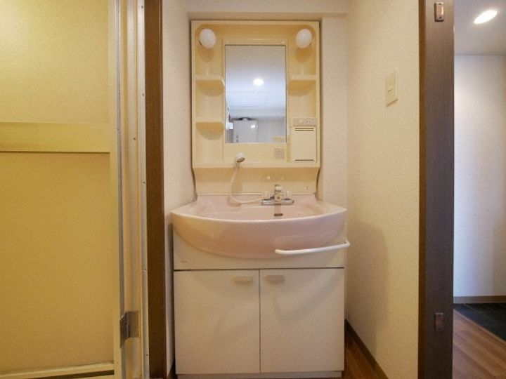 北海道札幌市白石区北郷二条5丁目(マンション)の賃貸物件403のその他画像
