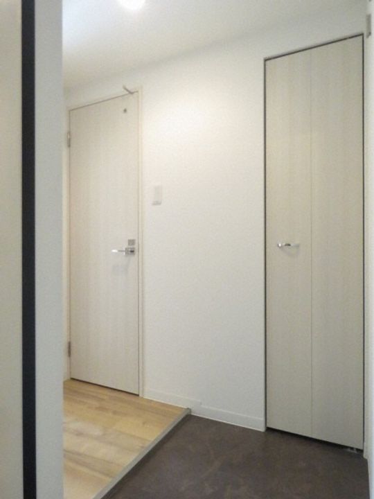 北海道札幌市豊平区平岸四条9丁目(マンション)の賃貸物件306の玄関