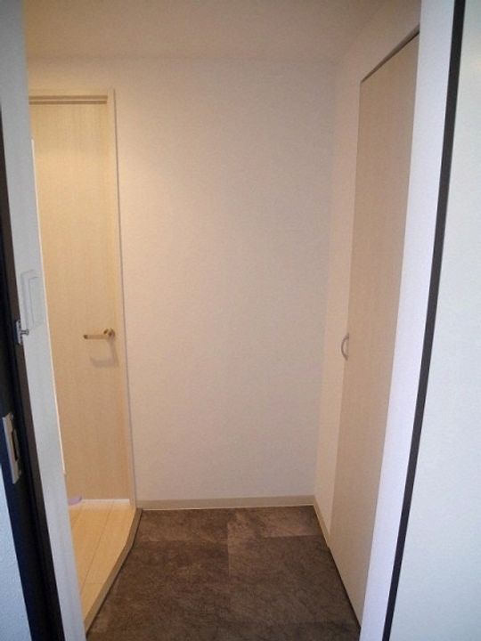 北海道札幌市白石区南郷通15丁目南(マンション)の賃貸物件401の玄関