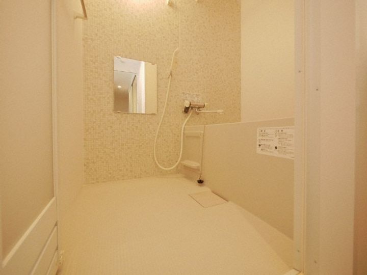北海道札幌市手稲区前田一条10丁目(マンション)の賃貸物件206の風呂
