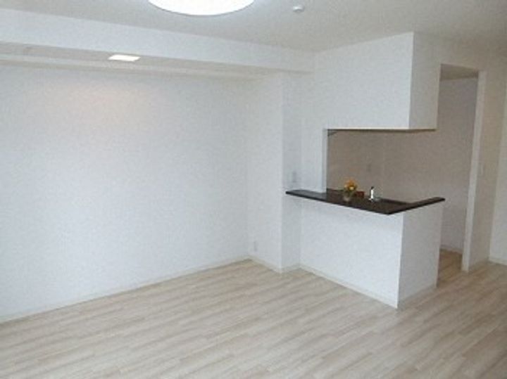 北海道札幌市中央区南四条東3丁目(マンション)の賃貸物件202のキッチン
