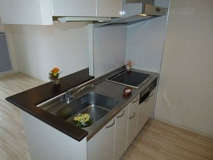 北海道札幌市中央区南四条東3丁目(マンション)の賃貸物件202のキッチン