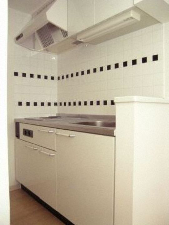 北海道札幌市北区北十四条西4丁目(マンション)の賃貸物件213のキッチン