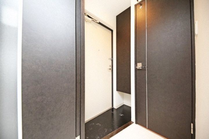 北海道札幌市西区琴似二条4丁目(マンション)の賃貸物件903の玄関