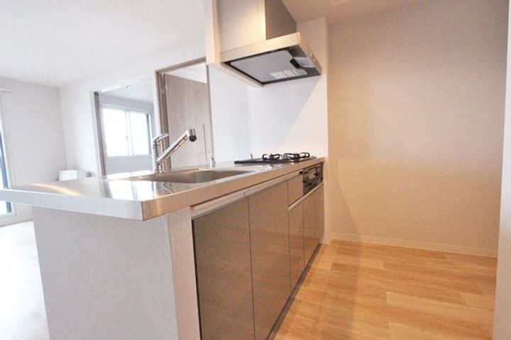 北海道札幌市東区北九条東11丁目(マンション)の賃貸物件201のキッチン