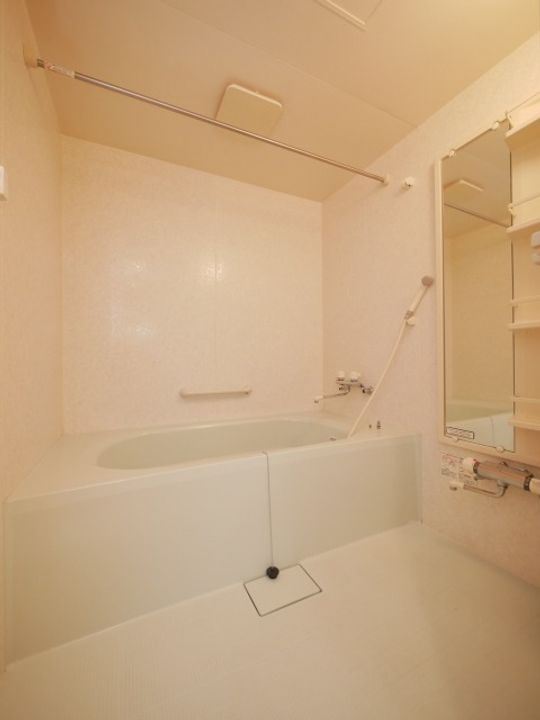 ゴールドメゾン美園66の風呂