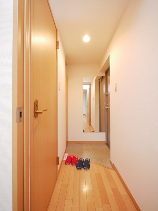 ゴールドメゾン美園66の玄関