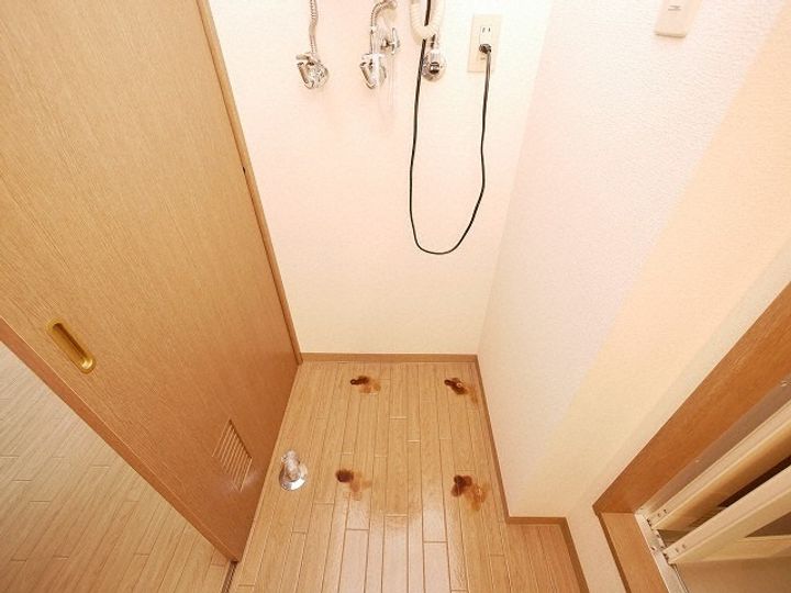 北海道札幌市中央区北五条西12丁目(マンション)の賃貸物件410のその他画像