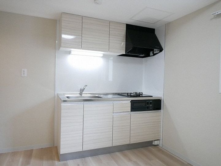 北海道札幌市西区二十四軒三条5丁目(マンション)の賃貸物件101のキッチン