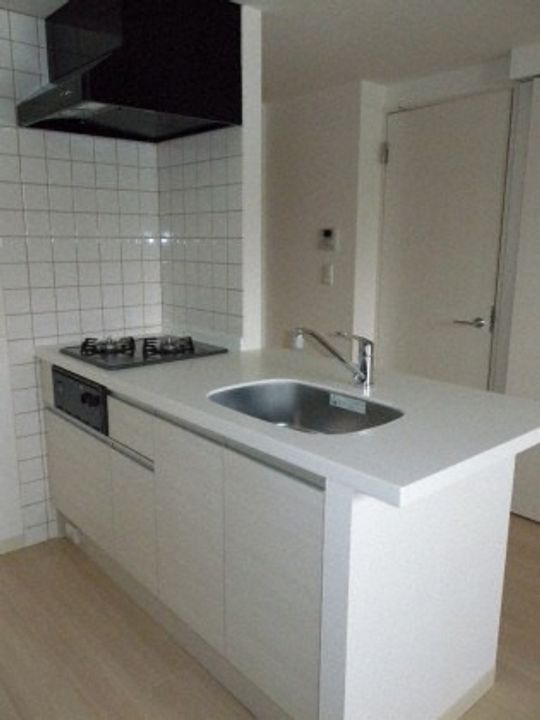 北海道札幌市中央区北四条西22丁目(マンション)の賃貸物件101のキッチン