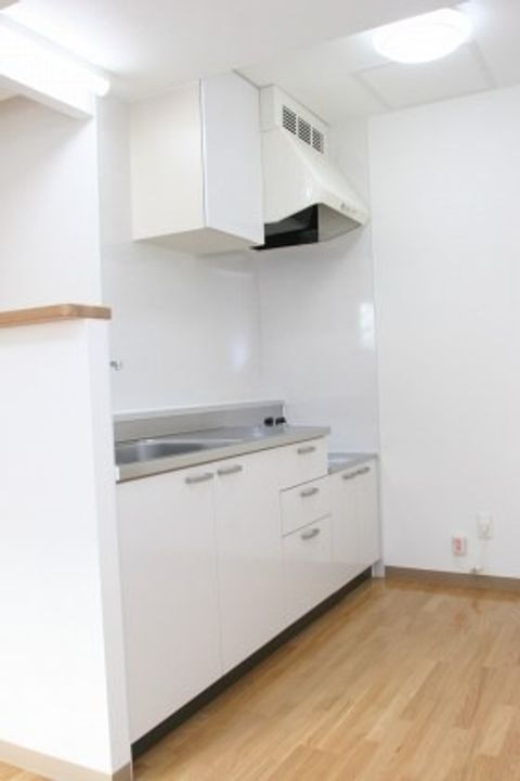 メゾンハマナス203のキッチン