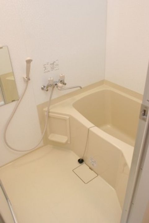 メゾンハマナス203の風呂