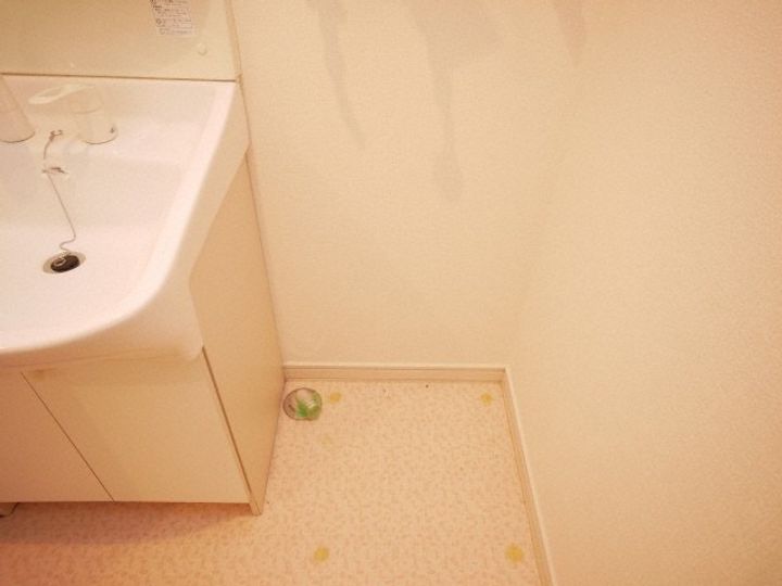 北海道札幌市手稲区富丘二条5丁目(アパート)の賃貸物件205のその他画像