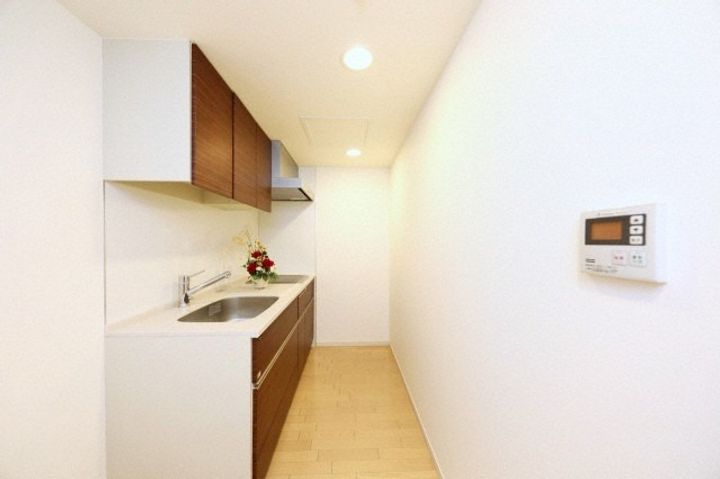 北海道札幌市中央区大通西6丁目(マンション)の賃貸物件1206のキッチン