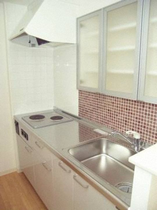北海道札幌市中央区南三条東2丁目(マンション)の賃貸物件202のキッチン