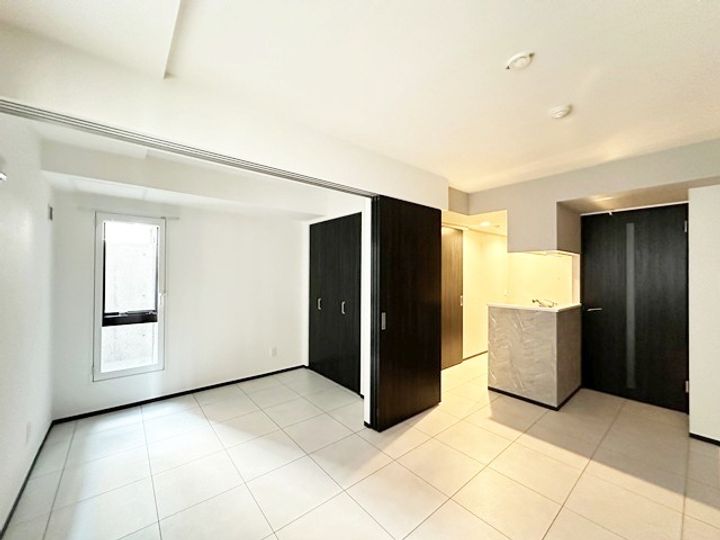 北海道札幌市中央区南九条西11丁目(マンション)の賃貸物件102の内装