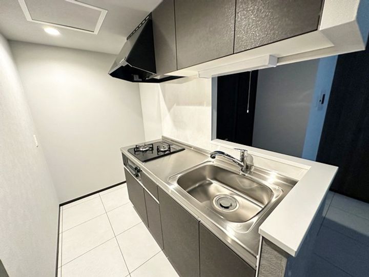 北海道札幌市中央区南九条西11丁目(マンション)の賃貸物件102のキッチン