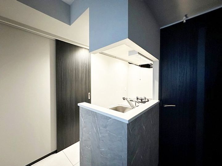 北海道札幌市中央区南九条西11丁目(マンション)の賃貸物件102のキッチン