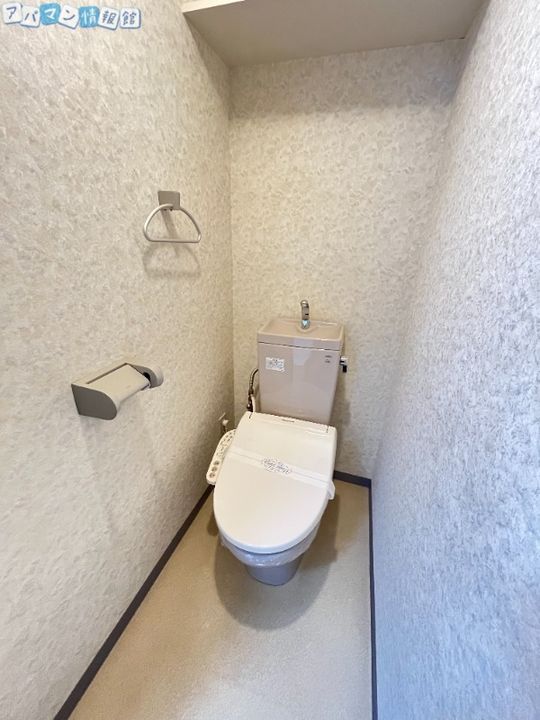 コートシャンベルのその他画像