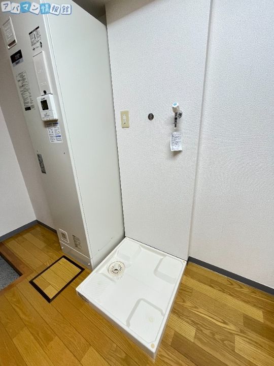 コートシャンベルのその他画像