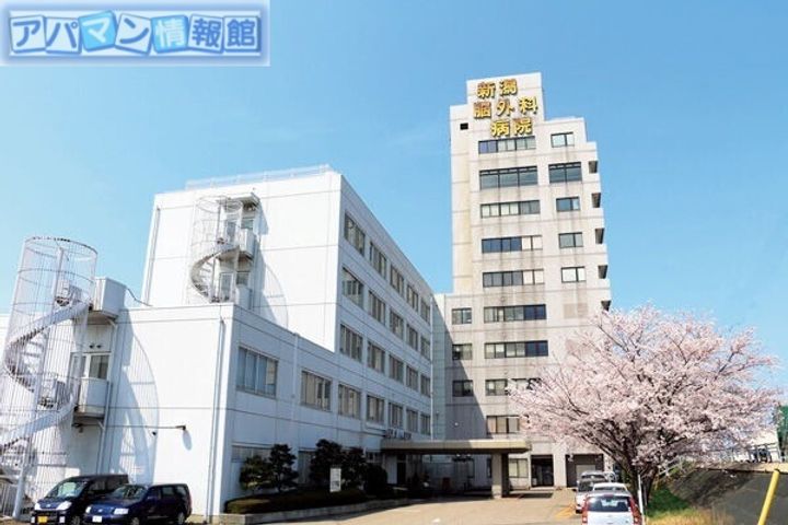 リバティーシーマⅡの周辺